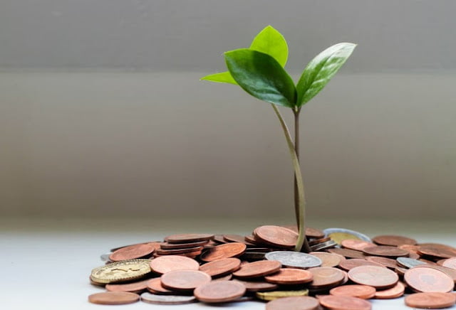 start up business that make the most money