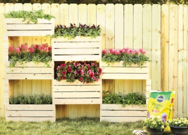 Front Home Garden Designs