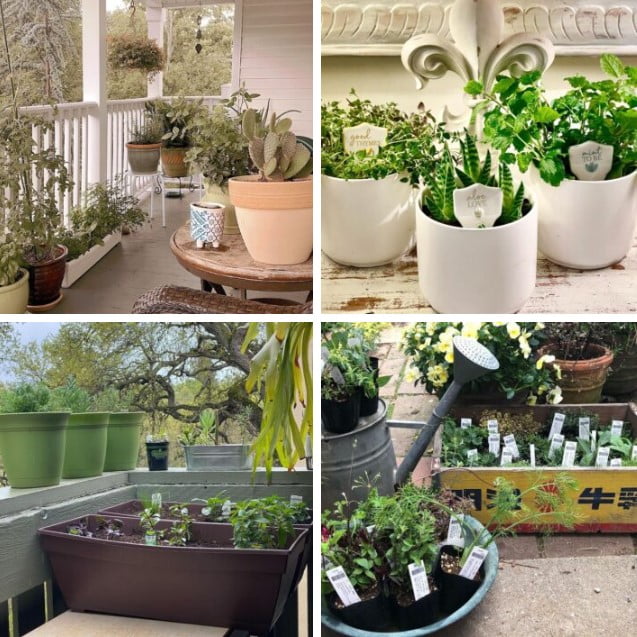 herb garden ideas herb garden ideas
