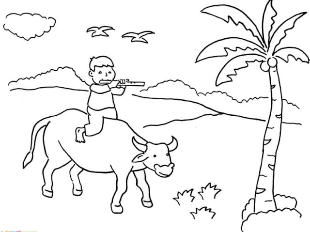 cow pictures for kids