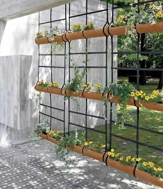 home parapet design photos