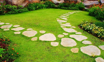 How to make a garden in 6 easy steps & 12 plant designs