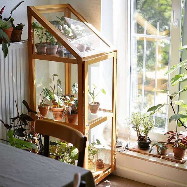 modern greenhouse ideas pictures