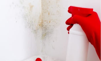 4 Steps How to Remove Mold From Basement Walls