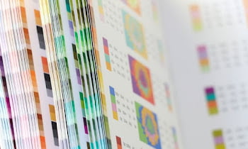 4 Color Trends for 2023 | Unique and Suitable for All
