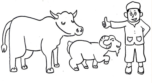 cow pictures for kids