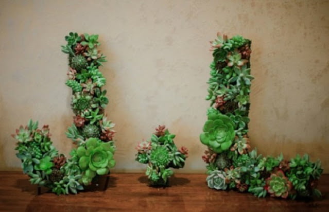 plant pot display ideas plant pot display ideas