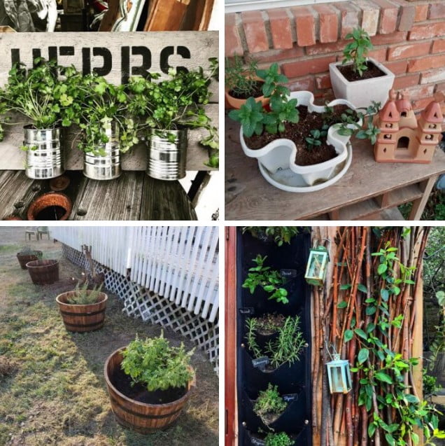 herb garden ideas herb garden ideas