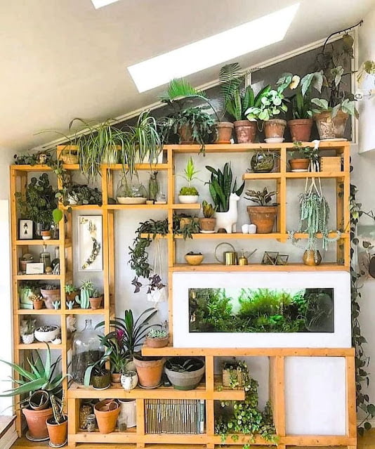modern greenhouse ideas pictures