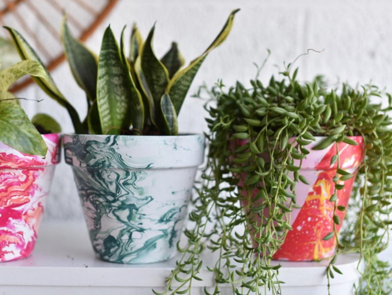 decorative pots for indoor plants