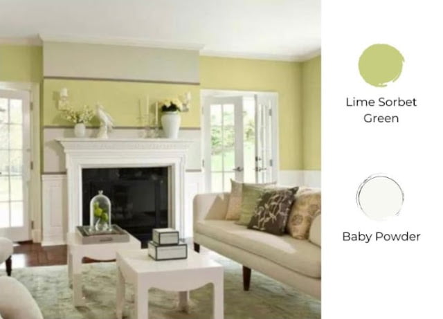 2 colour combination for living room