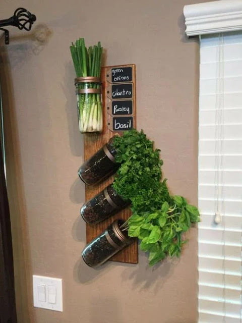 indoor herb garden ideas