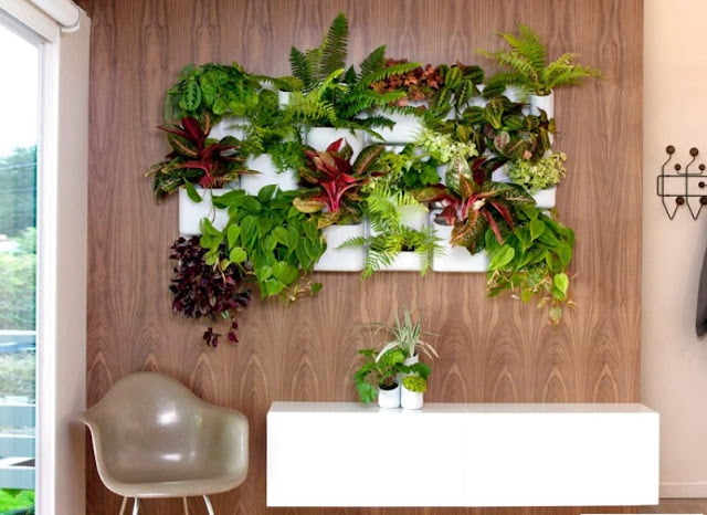 plant pot display ideas plant pot display ideas