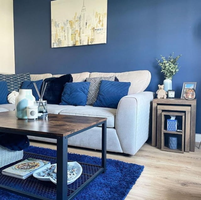 Blue Carpet Living Room Ideas