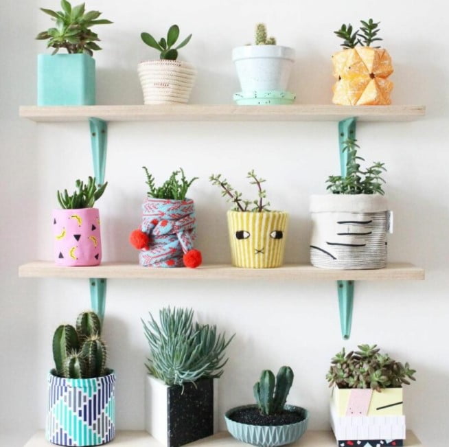 decorative pots for indoor plants