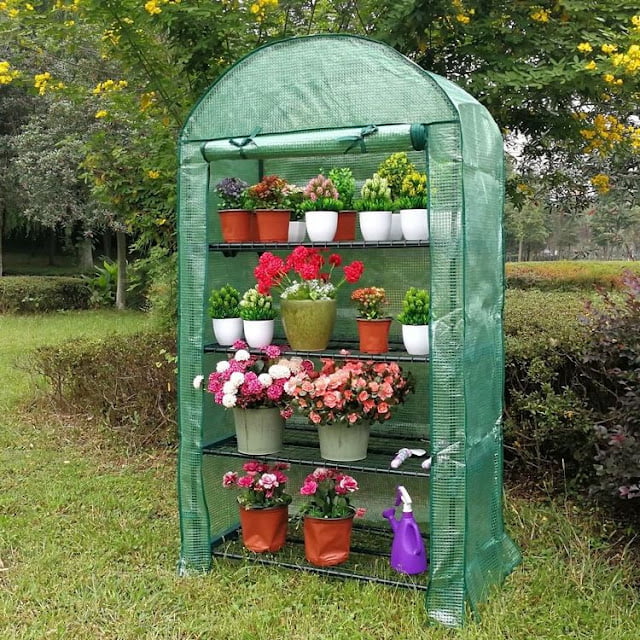 modern greenhouse ideas pictures