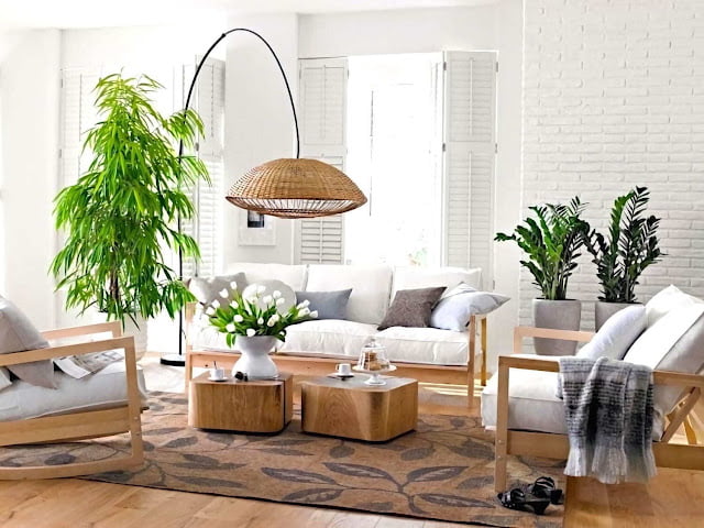 living room decor ideas with plants