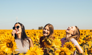 9 Tips for How to Plant Sunflower Seeds
