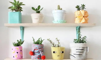 11 Decorative Pots For Indoor Plants