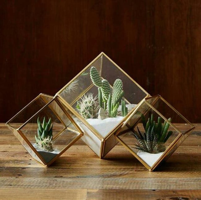 decorative pots for indoor plants