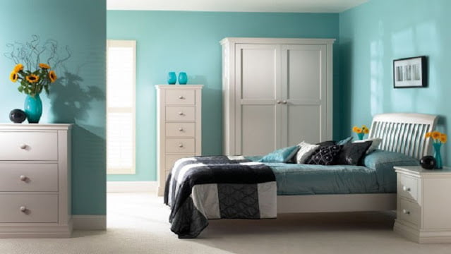 Tosca House Paint Color