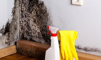 how to get rid of mold on concrete block walls