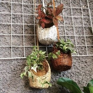 decorative pots for indoor plants