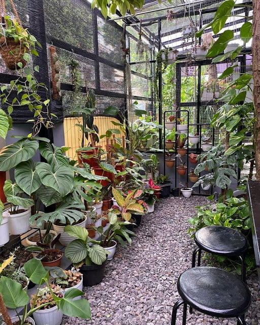 modern greenhouse ideas pictures