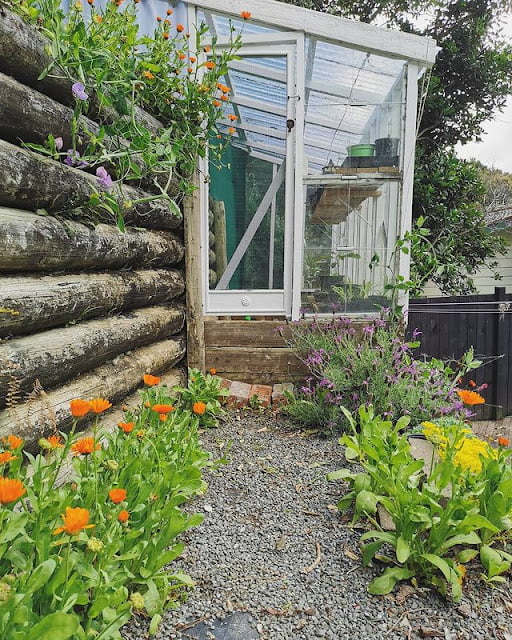 modern greenhouse ideas pictures