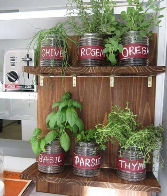 traditional potted herb garden