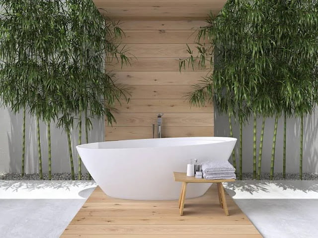 Decorating a bathroom with living bamboo Decorating a bathroom with living bamboo