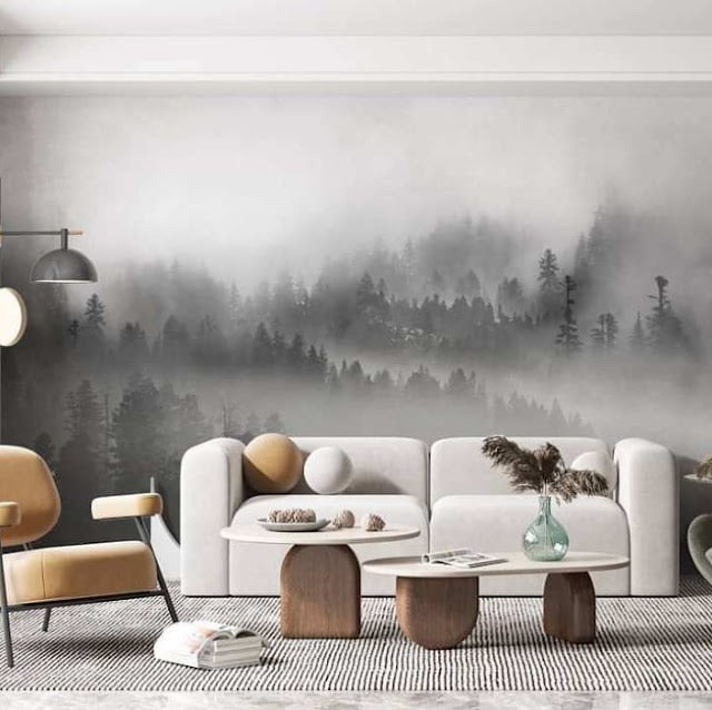 Wall Mural Ideas for Home