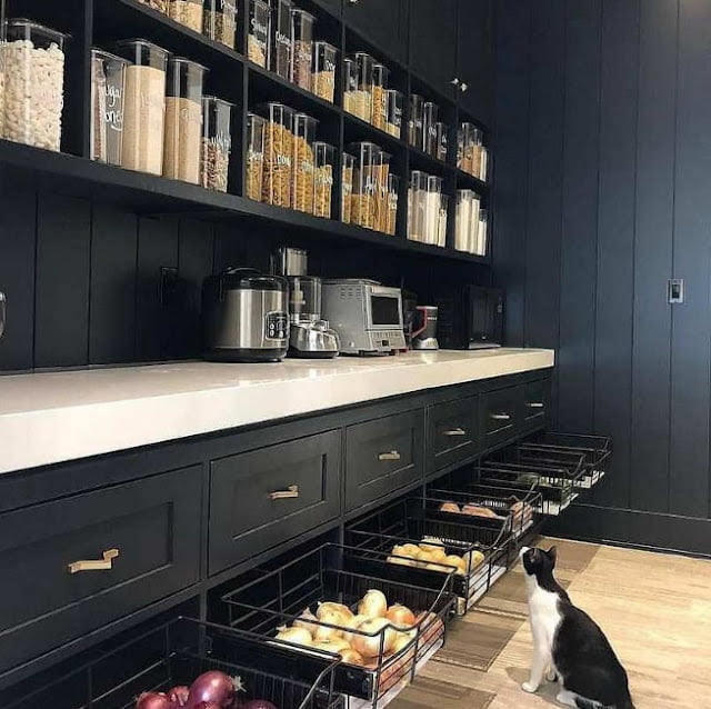 kitchen organization ideas pictures