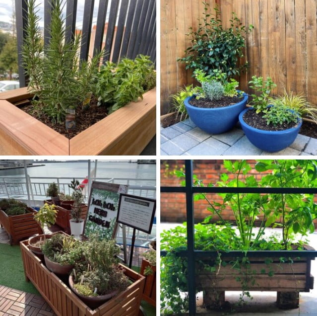 herb garden ideas herb garden ideas