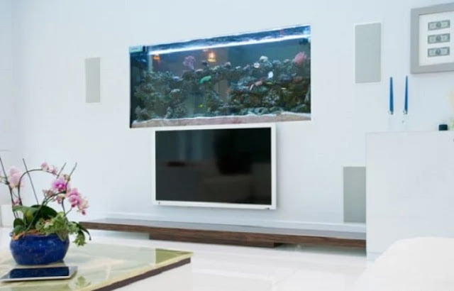 best aquarium design for home