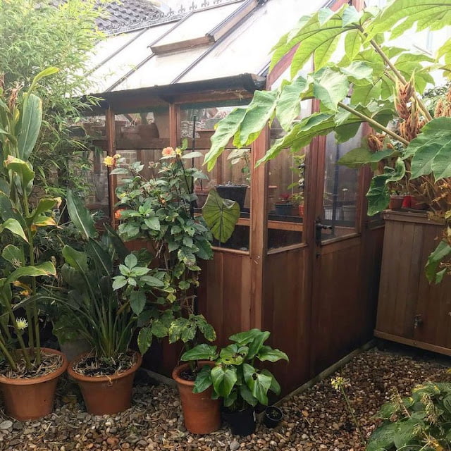 modern greenhouse ideas pictures