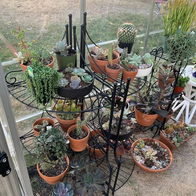 modern greenhouse ideas pictures