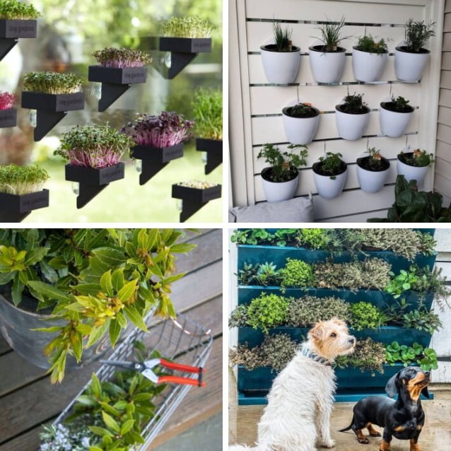 herb garden ideas herb garden ideas