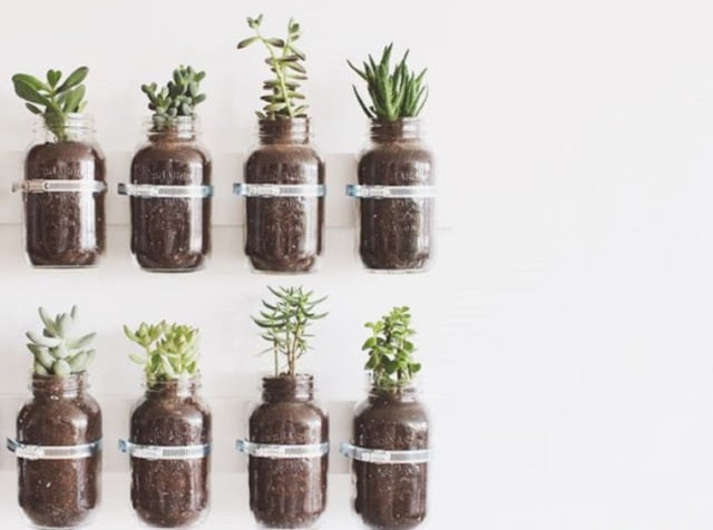 plant pot display ideas plant pot display ideas