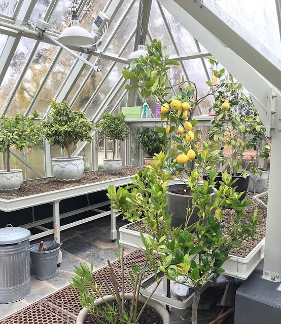 modern greenhouse ideas pictures