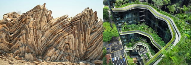 biomimetic architecture works