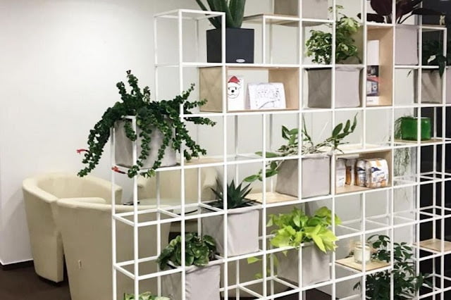 best ideas for home shelves and shelving