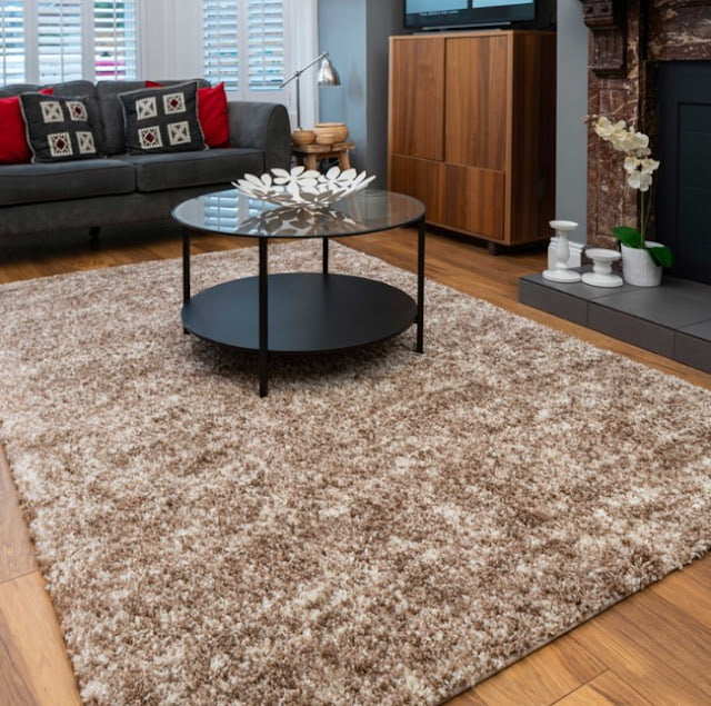 light brown carpet living room ideas