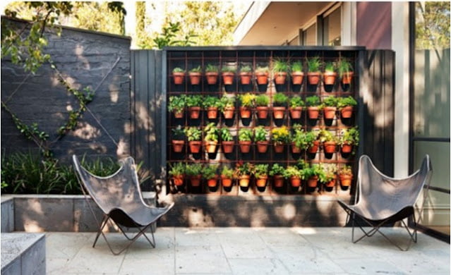 Indoor Garden Designs