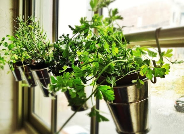 plant pot display ideas plant pot display ideas