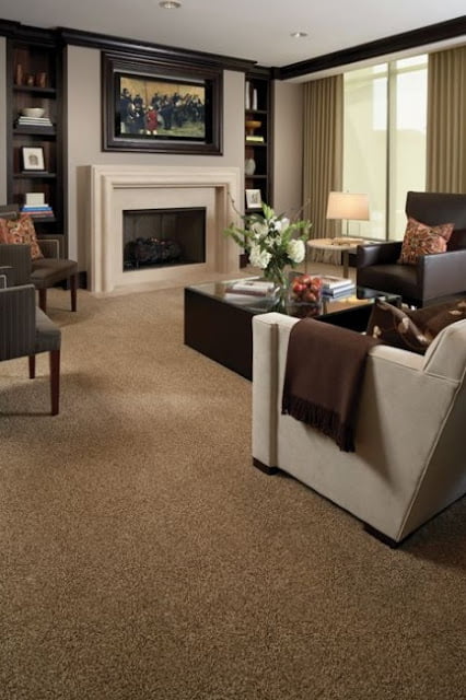 light brown carpet living room ideas