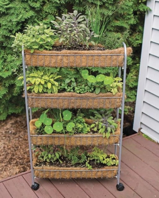 vertical garden design