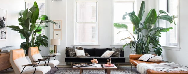 different types of room aesthetics