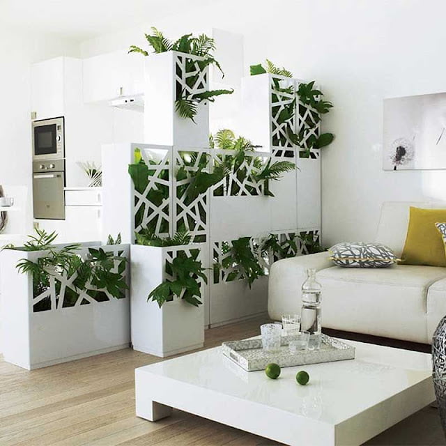 living room decor ideas with plants