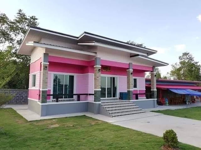 natural low budget simple house design